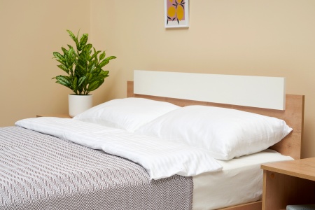 Кровать двухспальная Эко дуб вотан / белый